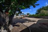 1825 Coleen Avenue - Photo 40