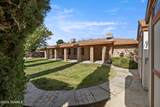 924 Calle Contento - Photo 36