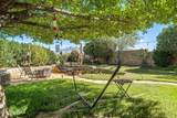 5798 Organ Peak Drive - Photo 28