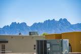 3105 Rio Arriza Loop - Photo 42