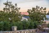 7403 Dona Ana Road - Photo 67
