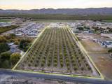 7403 Dona Ana Road - Photo 79