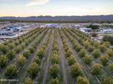 7403 Dona Ana Road - Photo 84