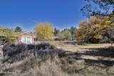 110 Creosote Road - Photo 74