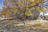 110 Creosote Road - Photo 75