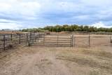 665 Fossil View Rd - Photo 39
