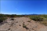 529 Paloma Blanca Drive - Photo 37