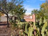 6700 Camino Blanco - Photo 52