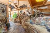 86 Telephone Canyon Road - Photo 14