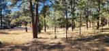 604 White Mountain Meadows Drive - Photo 1