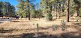 604 White Mountain Meadows Drive - Photo 3