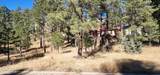 604 White Mountain Meadows Drive - Photo 4