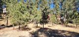 604 White Mountain Meadows Drive - Photo 5