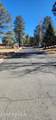 604 White Mountain Meadows Drive - Photo 8