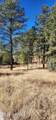 604 White Mountain Meadows Drive - Photo 9