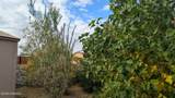 4664 Calle De Nubes - Photo 41