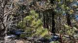 123 Canyon Trail - Photo 1