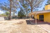 1825 Chaparro Street - Photo 38