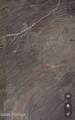 8883 Soledad Canyon Road - Photo 7