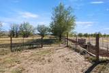 959 Lujan Hill Road - Photo 20