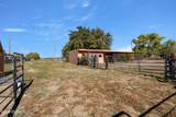 959 Lujan Hill Road - Photo 86