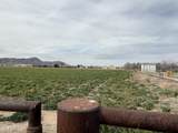 003 Harvey Farm Road - Photo 4