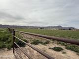 003 Harvey Farm Road - Photo 5