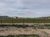 7212 Catalana Drive - Photo 4