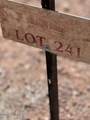 241 La Cienega Ranch Road - Photo 6