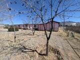 9480 Rigel Street - Photo 37