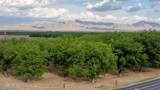 3035 Ohara Road - Photo 13