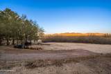 2561 Mesilla Hills Drive - Photo 67
