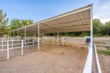 3070 Estrada Road - Photo 80