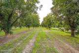 3070 Estrada Road - Photo 83