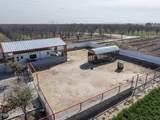 1405 Webb Road - Photo 12