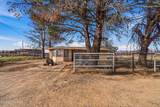 921-2 Lister Drive - Photo 5
