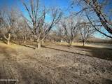 TBA Highway 259 - Photo 5