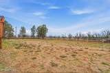 565 Carver Road - Photo 55