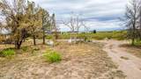 5740 Horny Toad Road - Photo 22