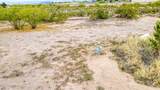 5740 Horny Toad Road - Photo 8