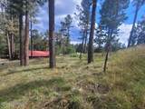213 3rd Street - Photo 4
