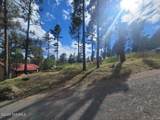 213 3rd Street - Photo 6