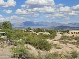 629 Lark Spur Way - Photo 9