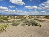 749 Lark Spur Way - Photo 15