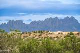 1676 Boulders Drive - Photo 43