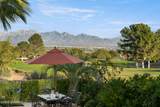 1606 Via Diamante - Photo 50