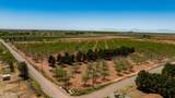 186 Sioux Trail - Photo 9