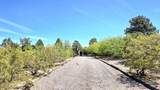 4537 Mockingbird Street - Photo 6
