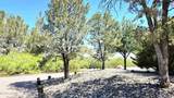 4537 Mockingbird Street - Photo 7