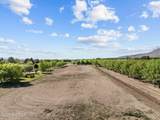 TBD Hayride Road - Photo 10